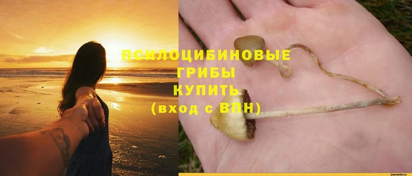 мдпв Бугульма