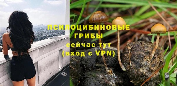 дживик Богданович