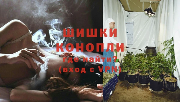 дживик Богданович