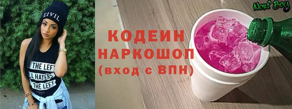 spice Богородск