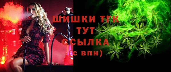 гидра Бородино